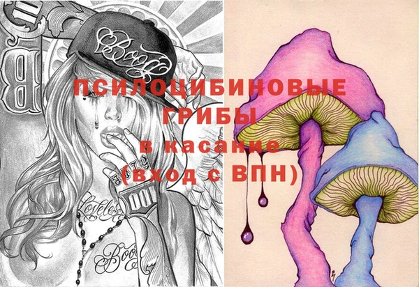 соль ск Алзамай